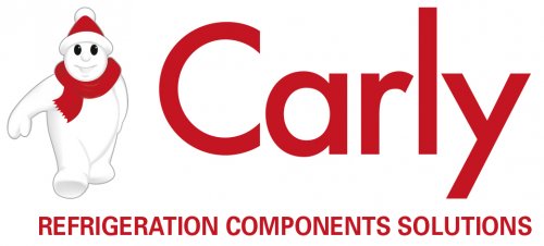 Logo CARLY RCS